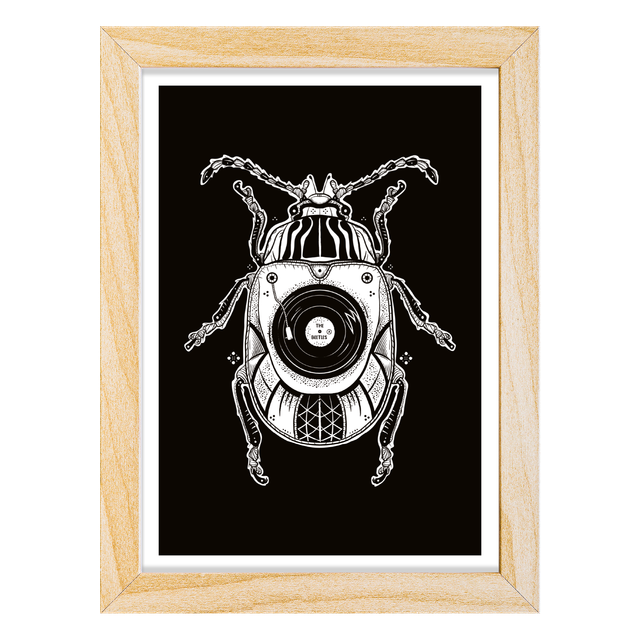 _A4 / Dog days are over