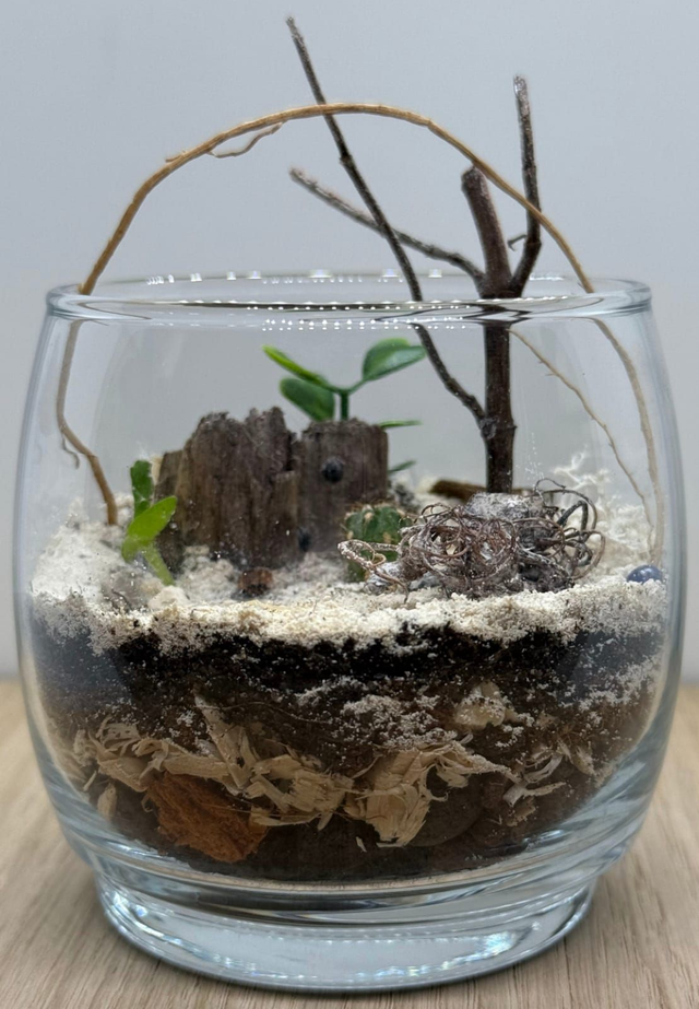 Bowo® TANZANIE connecté Home 