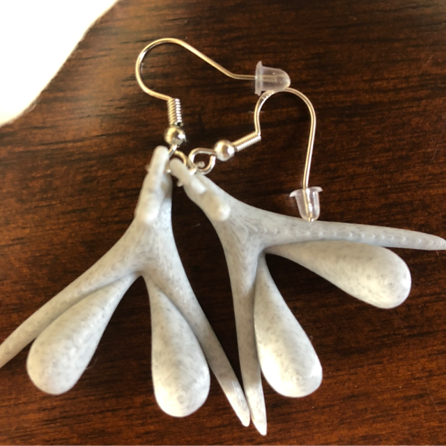 5- BO Clito Blanc Cassé 