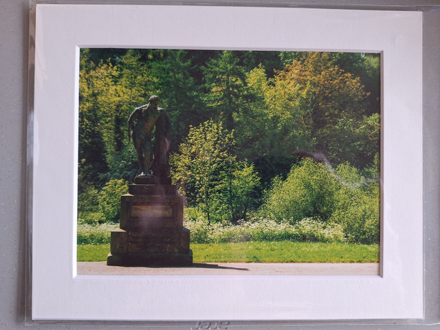 Mounted Photographs by Plantography