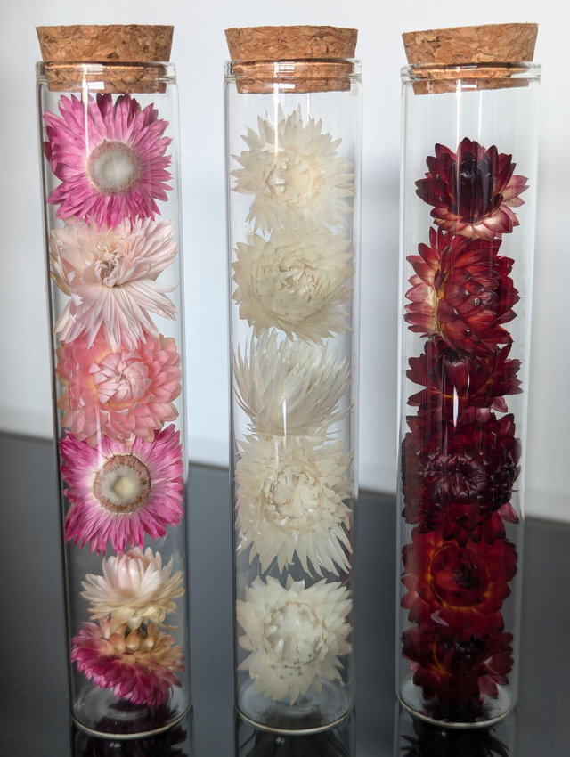 Fioles en verre (x3) - Potions fleuries immortelles