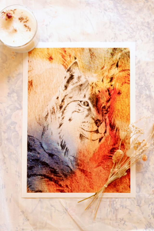 Tirage d'Art "Le lynx"
