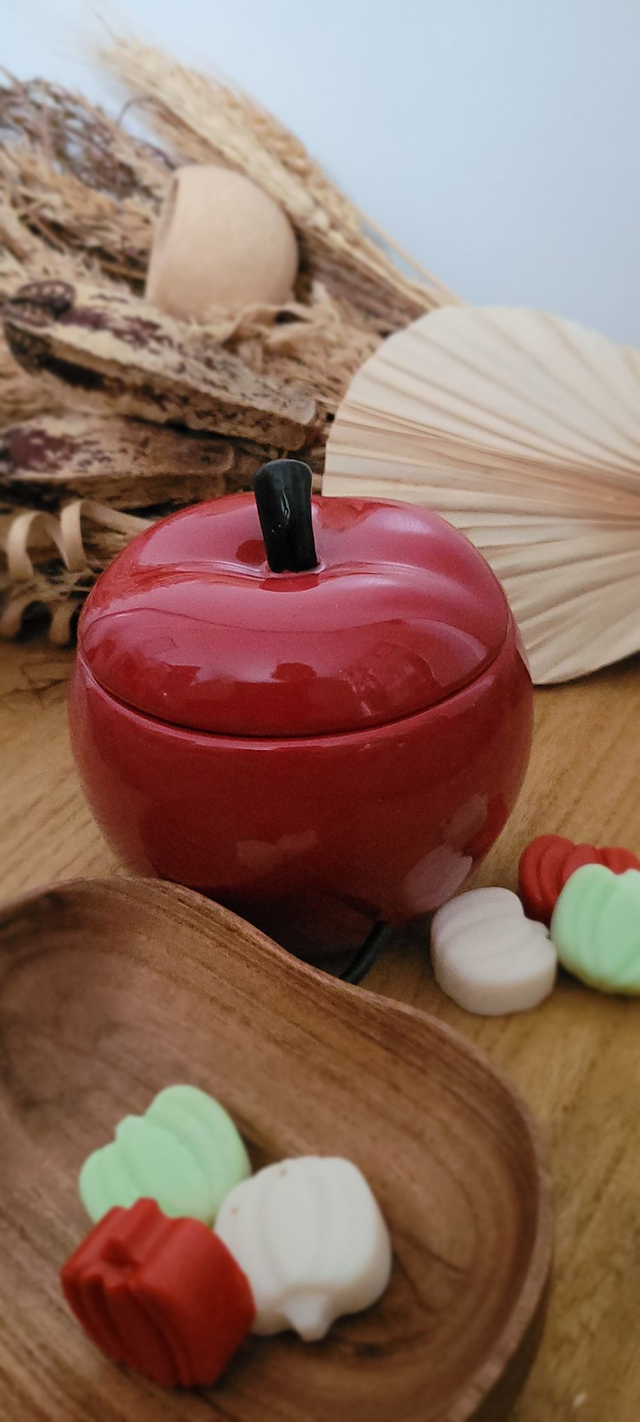 Brûleur Pomme rouge 