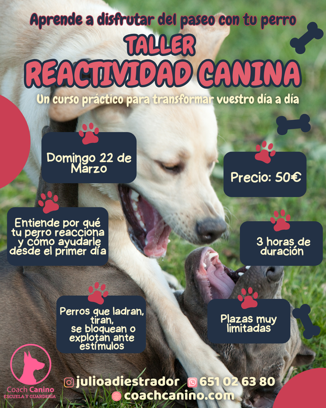 Taller Reactividad y Agresividad Canina