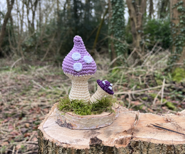 Purple crochet mushroom duo