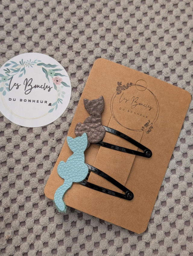 Barrette b075