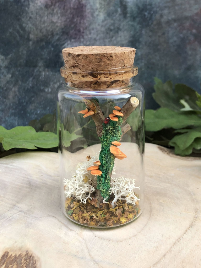 Champignon arbre orange