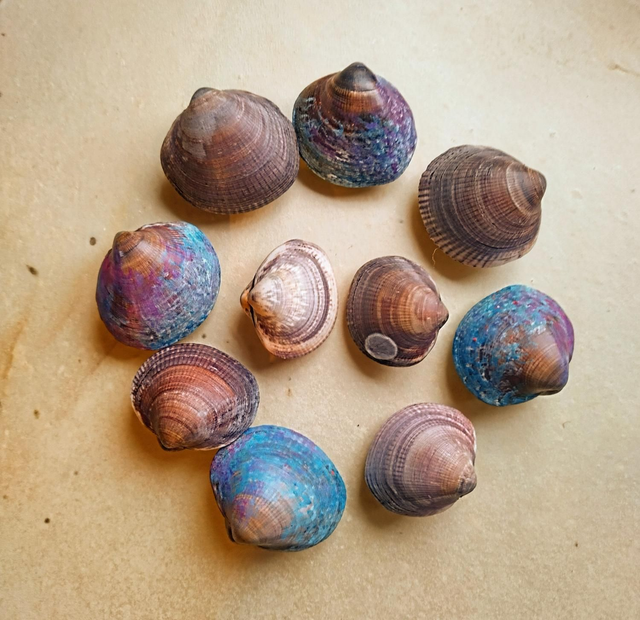Shaker Naturali