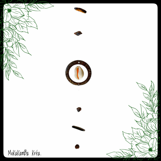 Attrape-soleil Coquillages et noix de coco