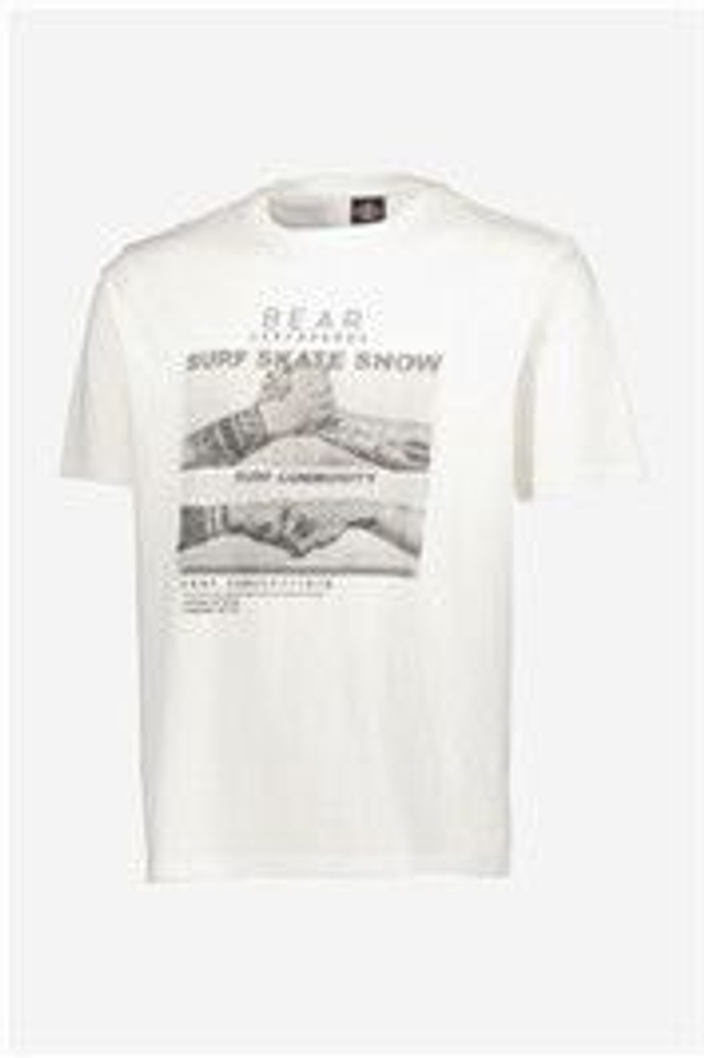 16491991 - Bear T-shirt uomo con stampa surf