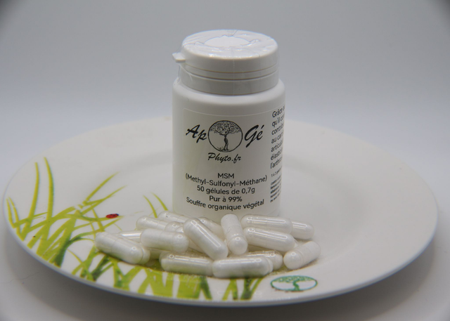 MSM (Methyl-Sulfonyl-Méthane) 50 gélules 