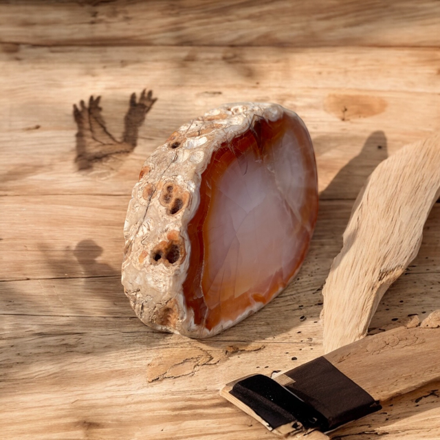 Tranche de Cornaline 