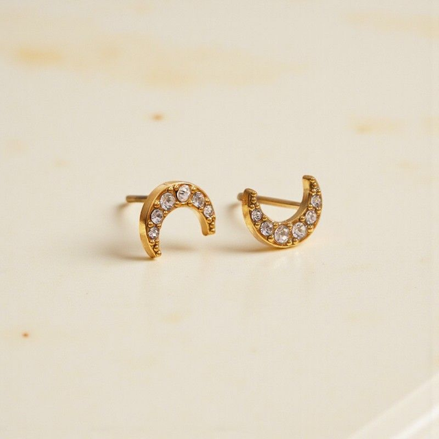 Boucles d'oreilles Lunaria