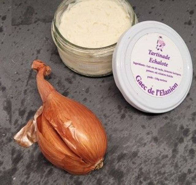 tartlotte (tartinade échalote)