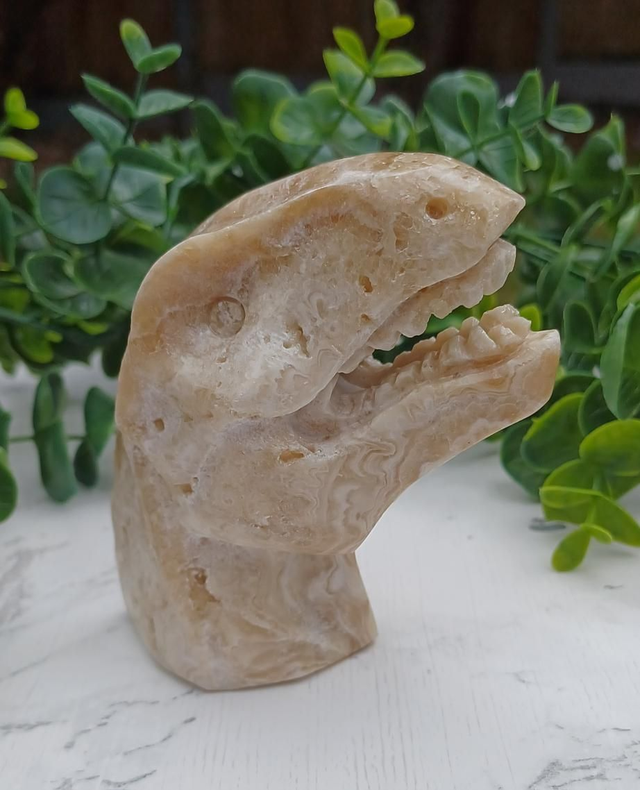Amber Calcite T-Rex Dinosaur Crystal | Natural Stone Carved and Polished Tyrannosaurus Rex Head no. 2