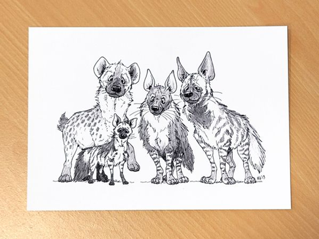 A5 print Hyena family