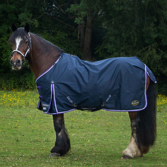 Gallop Trojan Duraproof Lightweight Turnout