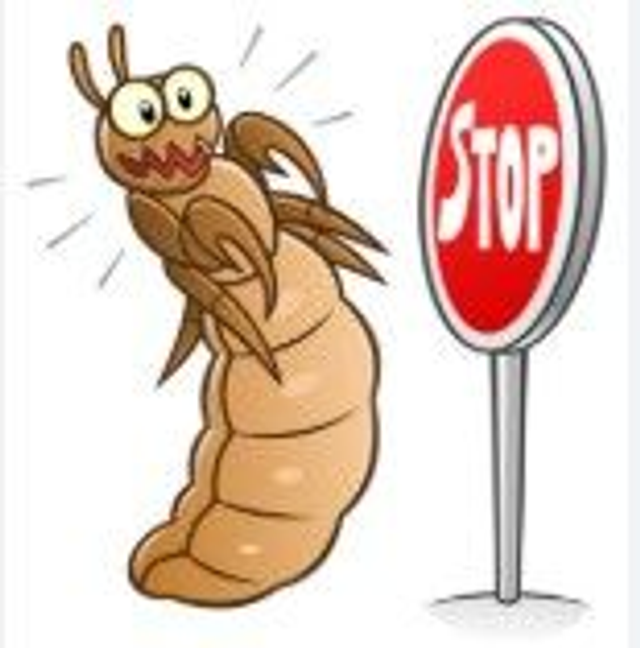 Répulsif POUX /  roll one 10 ml