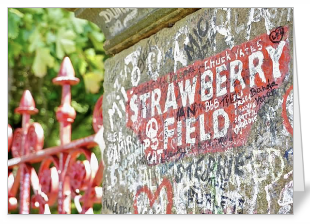 Lucky Dip Mixed pack of 5 NoteCards