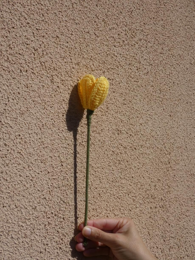 Tulipe jaune