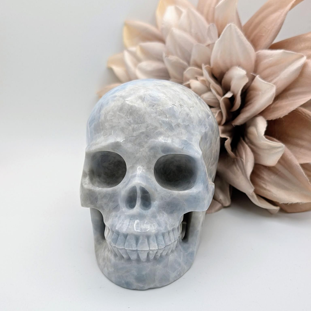 High Quality Hand Carved Crystal Skull - 5" Blue Calcite 