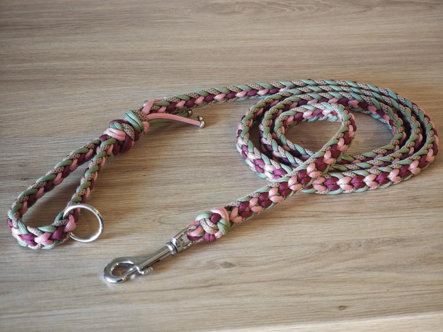 Laisse unique de tressage paracorde de 1,70m de longueur