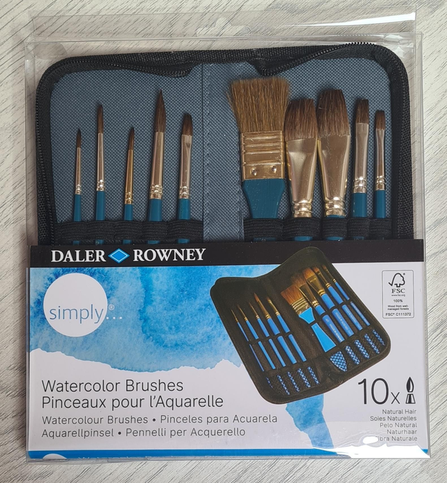 Daler Rowney 10 Watercolour paint brushes case