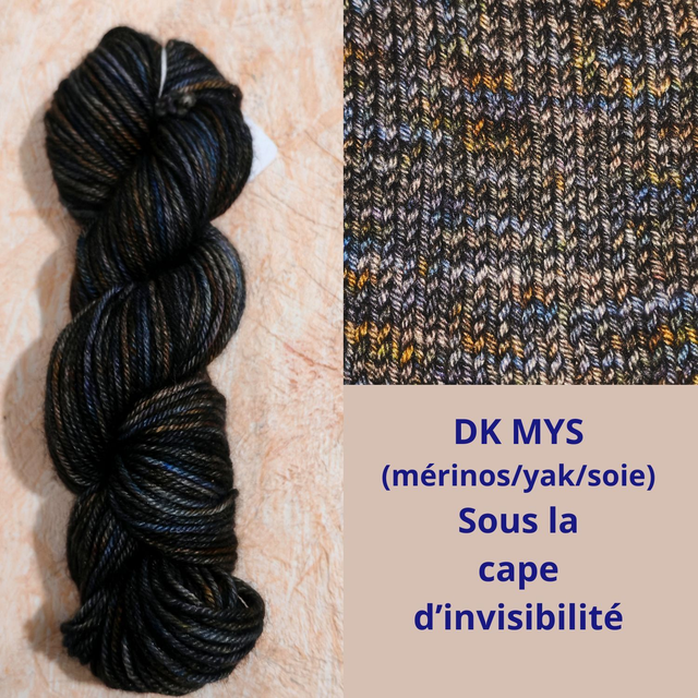 DK MYS Sous la cape d'invisibilité