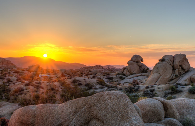 Joshua Tree Sunrise