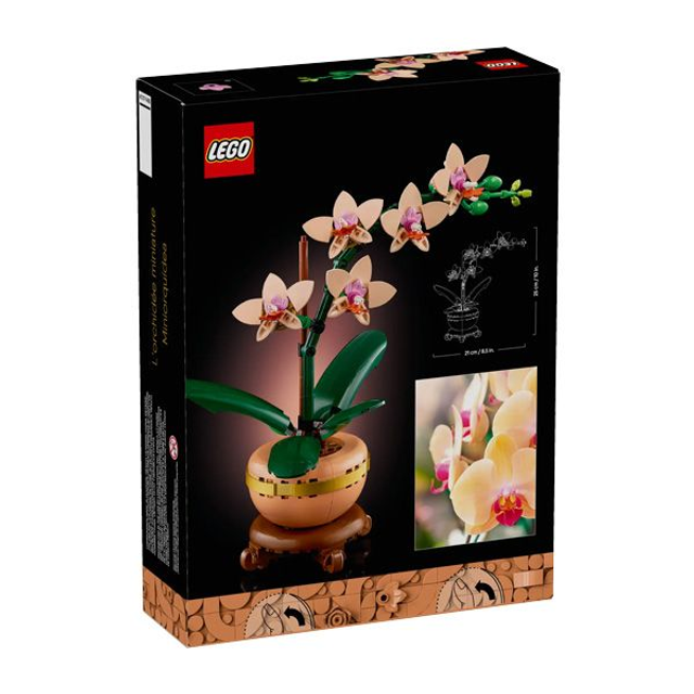 Botanicals Mini Orchid