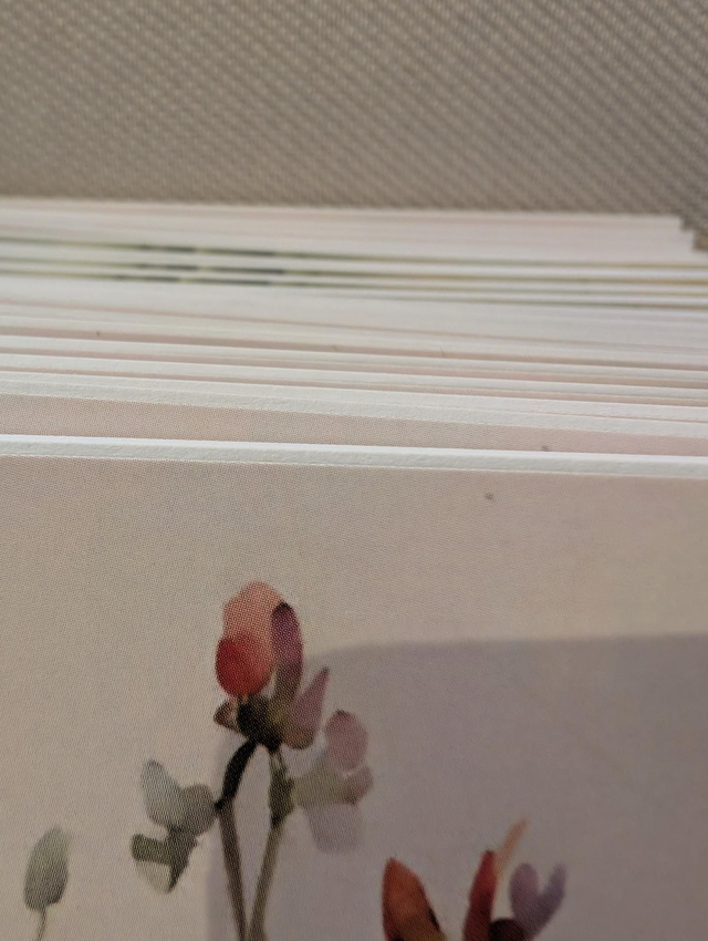 Cahier « Bucolique »