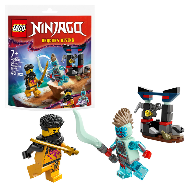 LEGO 30700 Ninjago Arins Duell mit dem Drachenmenschen