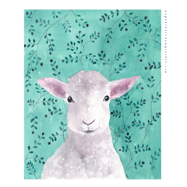 Carte postale Agneau