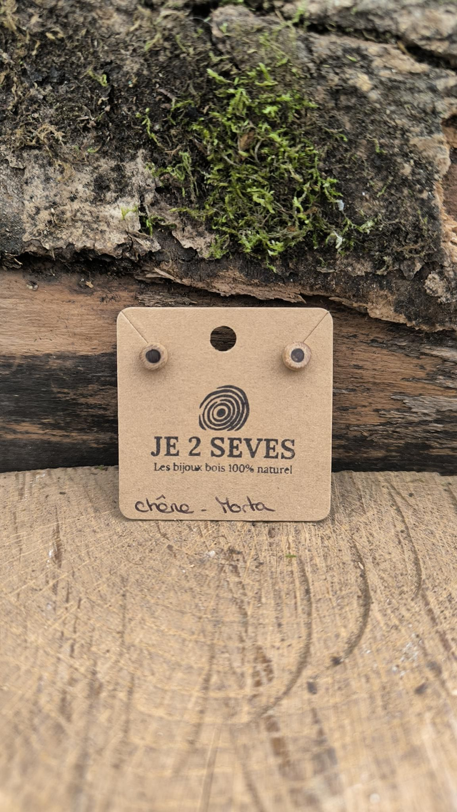 Chêne + Morta - 240440