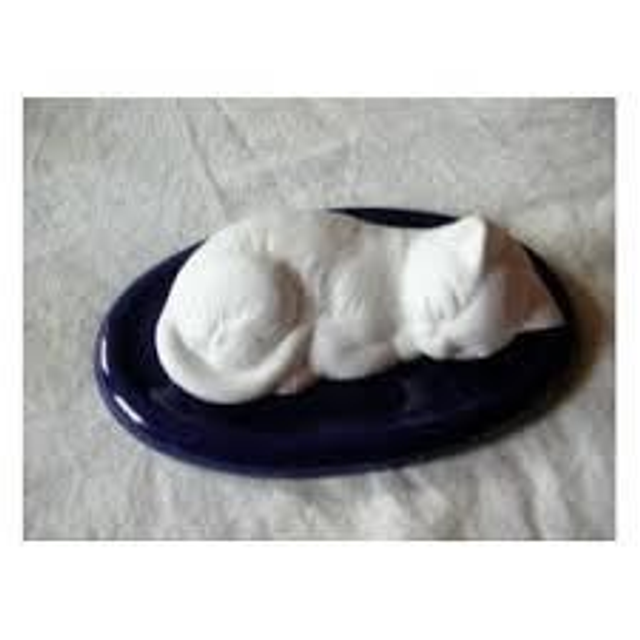 Aromasteen poes slapend met blauwe onderlegger