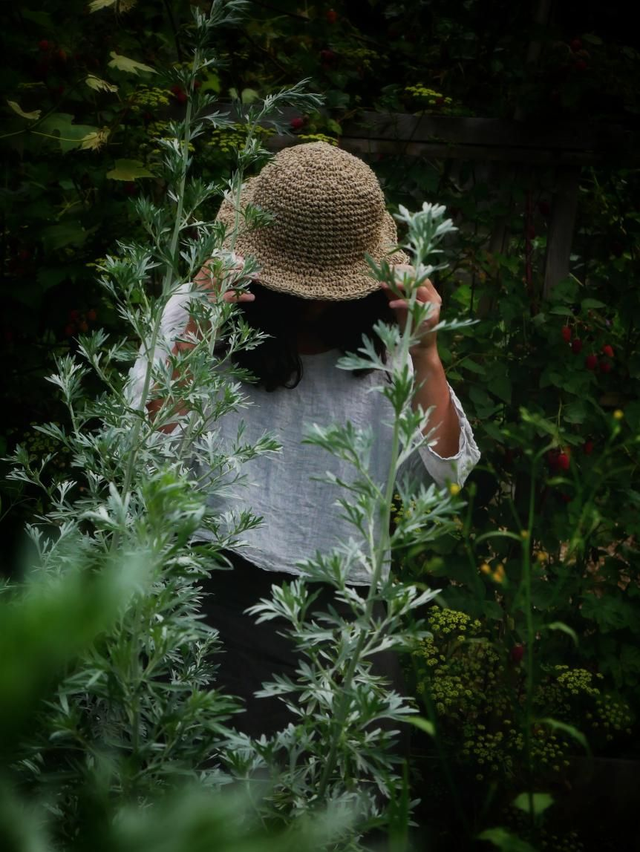 Chapeau BUISSONNIER #3