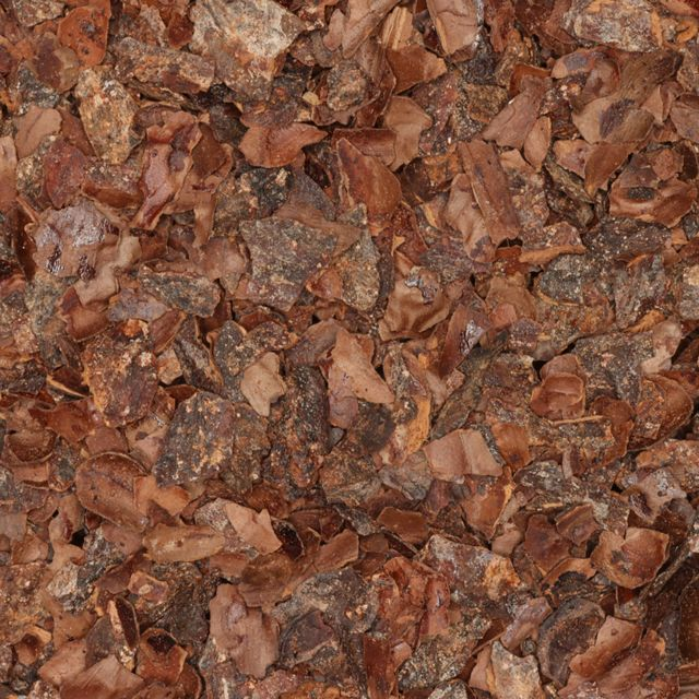 Cacaodoppen gebroken (cocoashells broken) - BIO