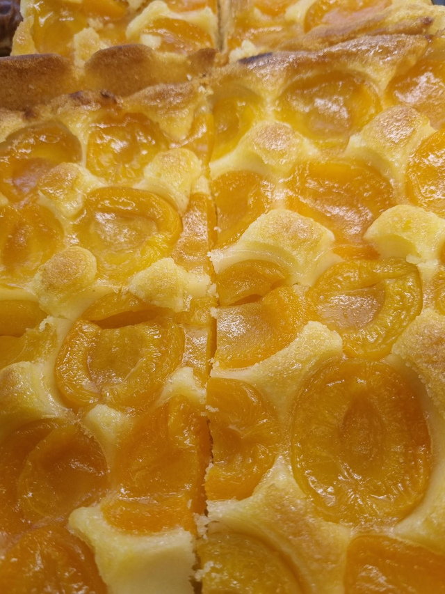 Marillenkuchen