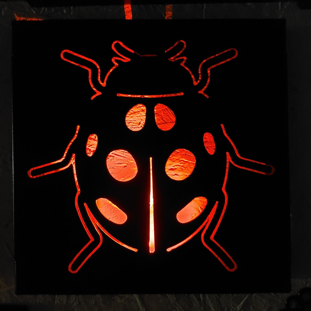 Ladybird Lightbox 