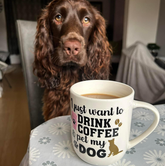 I just want to drink coffee and pet my….