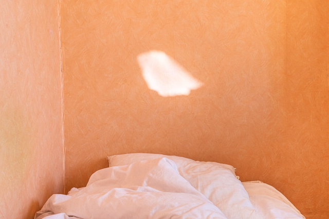 Temporary Peace in my Temporary House