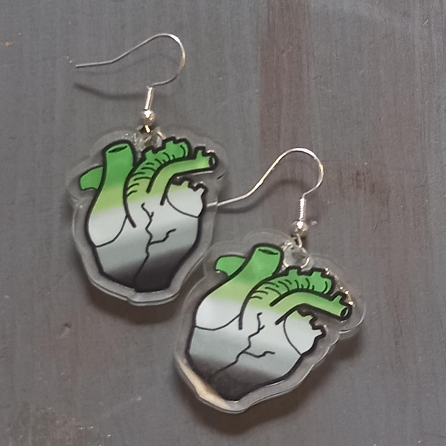 Aromantic Realistic Heart Earrings