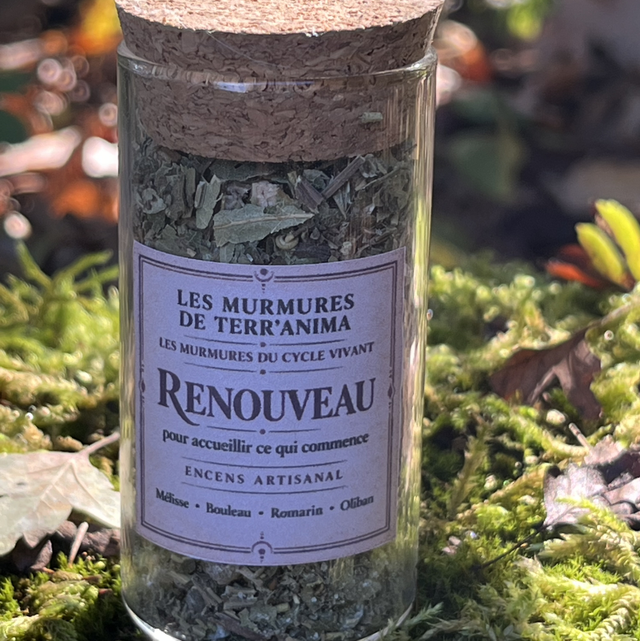 Encens "RENOUVEAU"