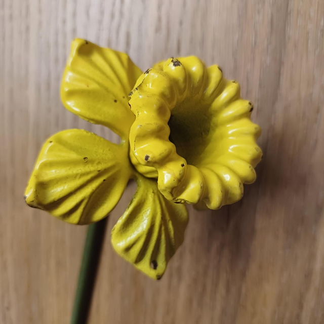 DAMAGED &amp; DISCOUNTED Daffodil Garden Stake 