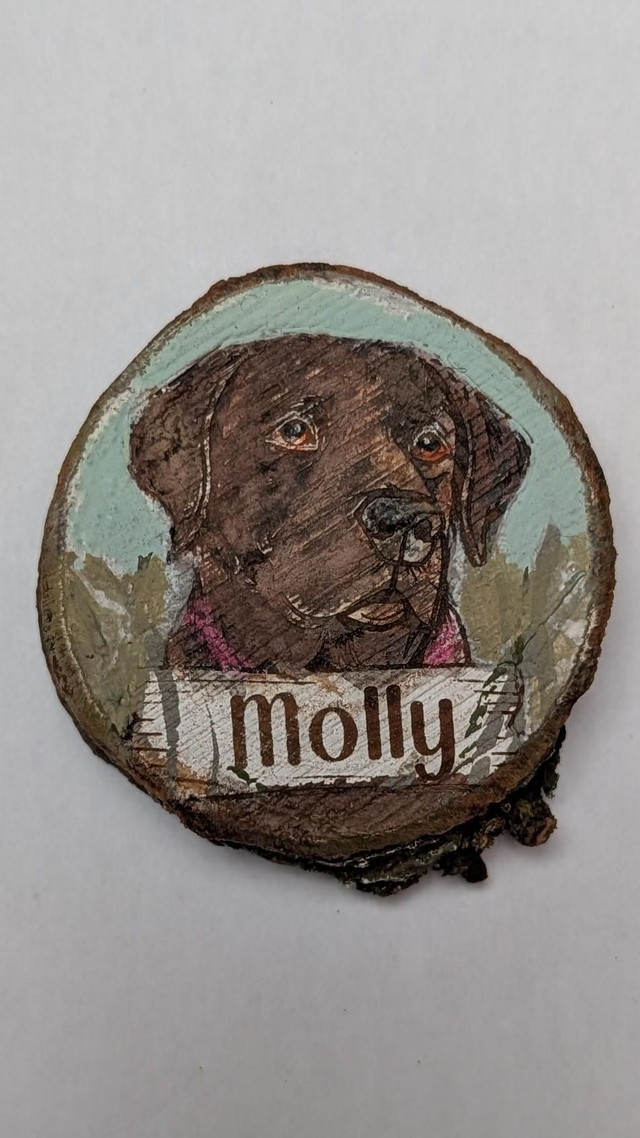 Chocolate Labrador - Molly