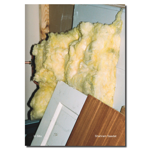 In Situ - Shahram Saadat
