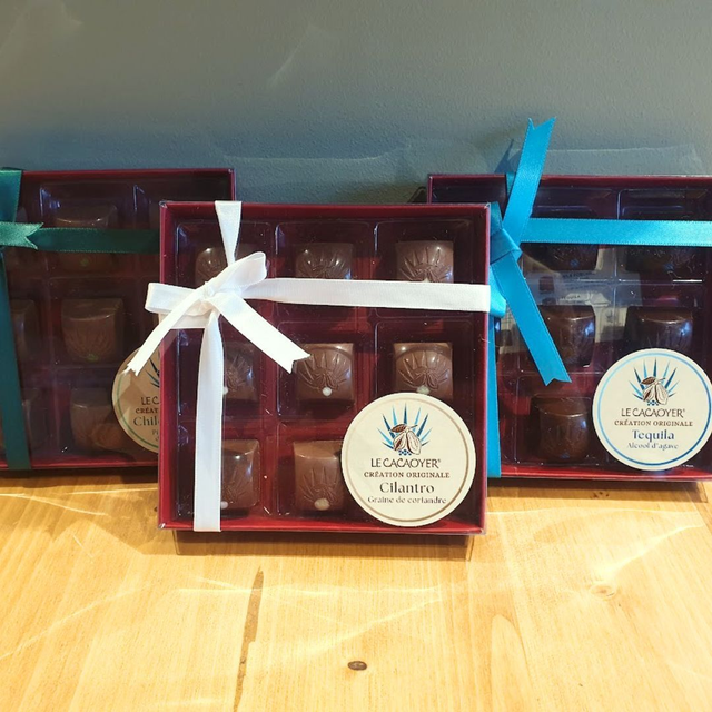 Chocolat fonctionnel aux probiotiques (alicament)