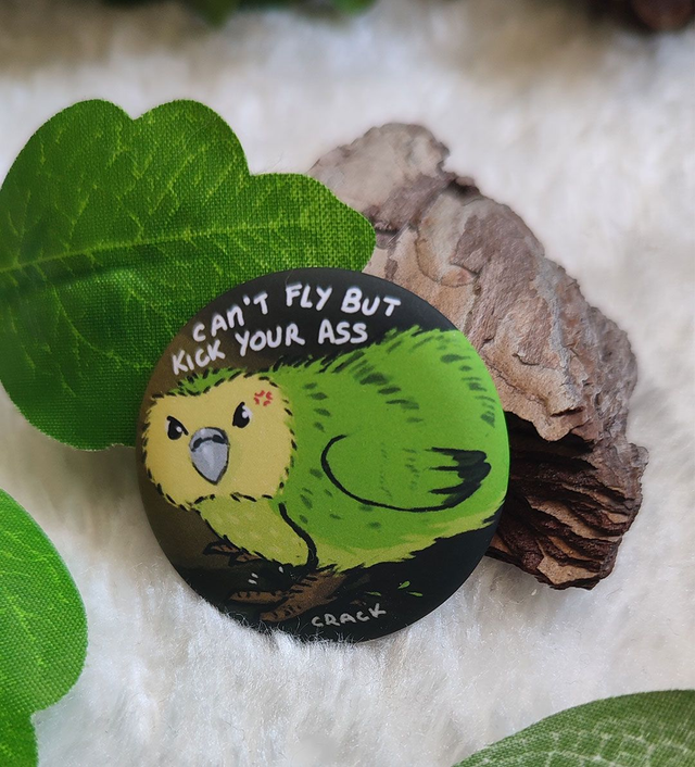 Badge Can't Fly but I'll kick your ass