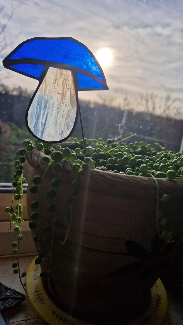 Mushdude Plant Buddy