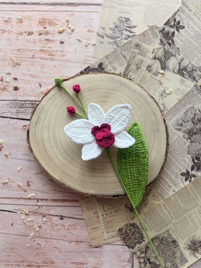 Orchidée (personnalisable pour créer votre bouquet)